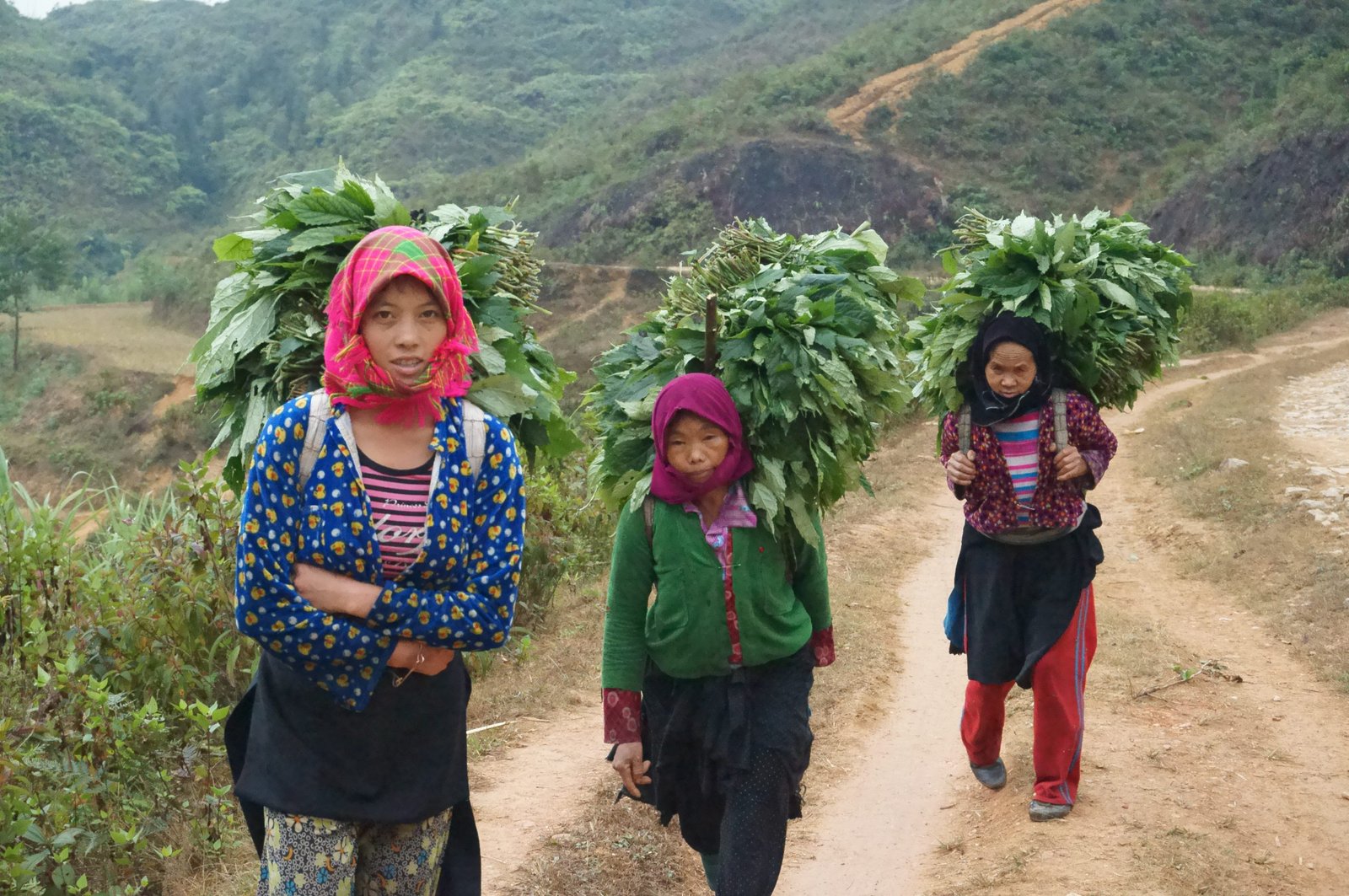 Tour by Bicycle from Sapa to Ha Giang and Halong 15 Days